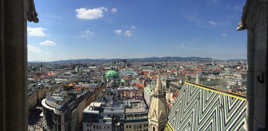 View from the south tower of St. Stephen's Cathedral