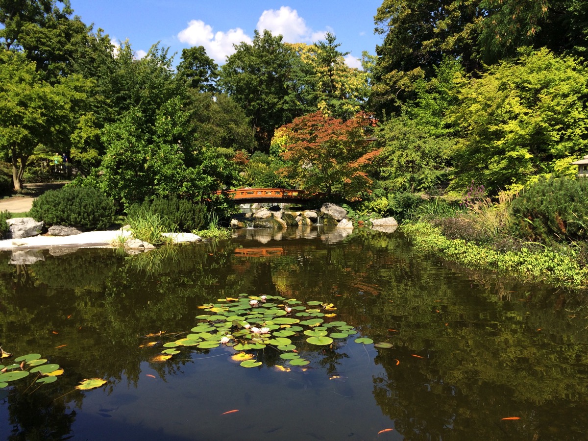 Setagayapark in Doebling, Vienna